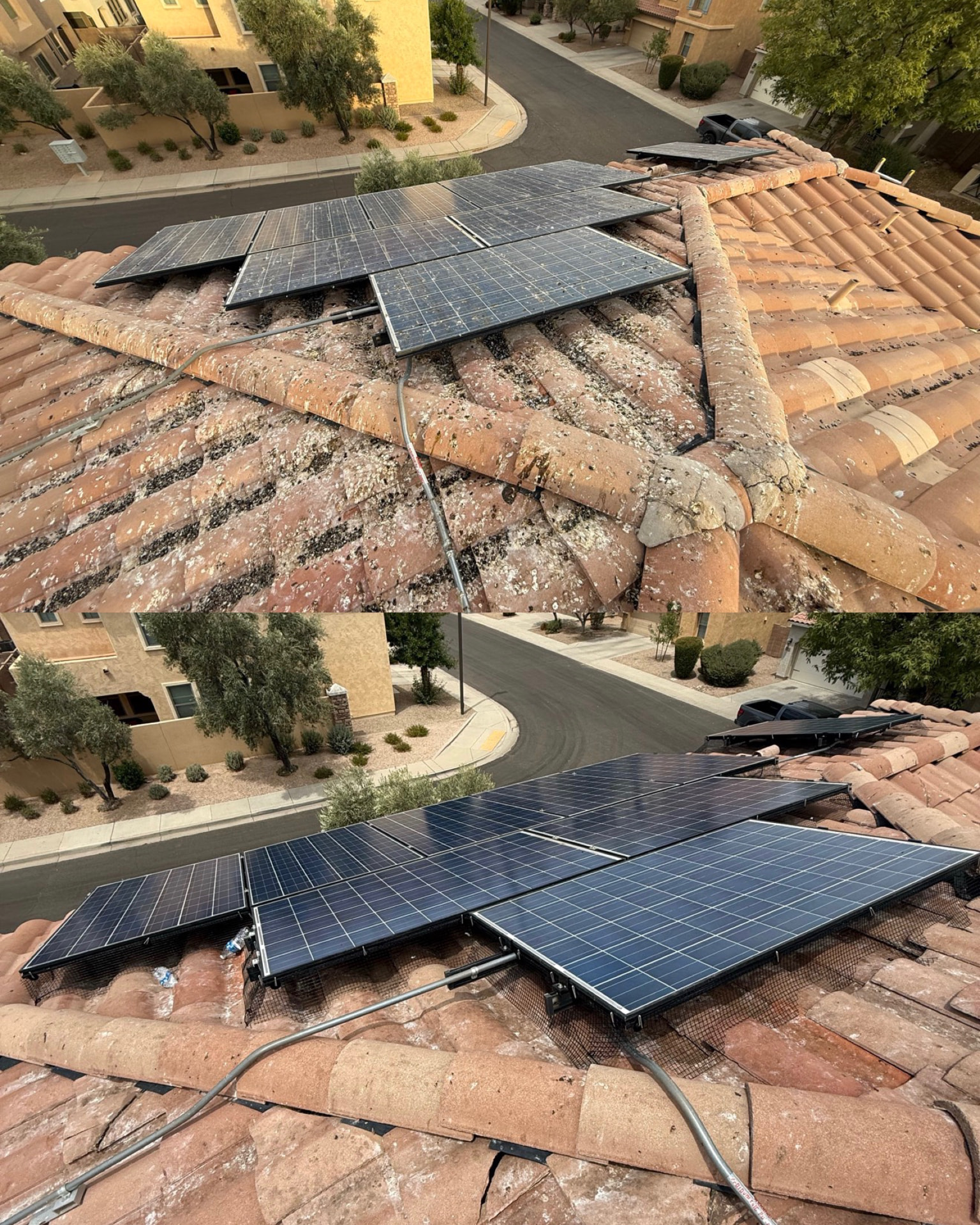 Before and after pigeon proofing — droppings and nesting debris under a tile-roof solar array, then cleaned and sealed with mesh
