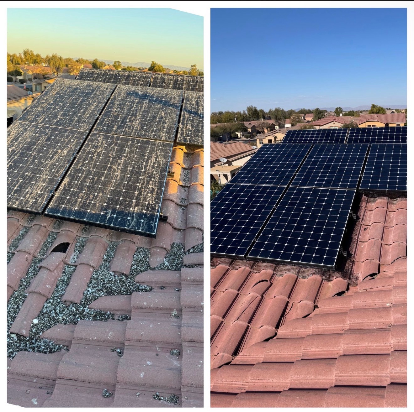 Before and after cleaning of a solar array fouled with pigeon droppings